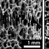 工程师开发出可在室温下愈合的骨状金属泡沫