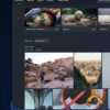 试用新的微软Windows11照片应用