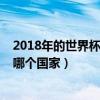 2018年的世界杯冠军是哪个国家（2018年的世界杯冠军是哪个国家）