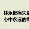 林永健痛失爱子是真的吗（这个孩子是林永健心中永远的痛）