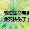 感动生命电视剧（网友：白子画什么时候开始救死扶伤了）