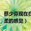 蔡少芬现在在干嘛（社交网站晒出近照给人温柔的感觉）