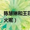 陈慧琳和王菲长得很像吗（陈慧琳和王菲谁更火呢）