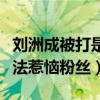 刘洲成被打是怎么回事（因表达对韩国艺人看法惹恼粉丝）