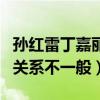 孙红雷丁嘉丽什么关系（网曝孙红雷和丁嘉丽关系不一般）