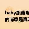 baby跟黄晓明最新消息（网传两人已经离婚的消息是真吗）