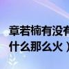 章若楠有没有金主（章若楠是怎么火起来的为什么那么火）