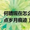 何晴现在怎么样了（现在的她身上没有留下一点岁月痕迹）