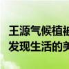 王源气候植被记录博主什么梗（二字弟弟很会发现生活的美）