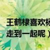 王鹤棣喜欢杨紫吗（杨紫和王鹤棣最后会不会走到一起呢）