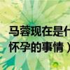 马蓉现在是什么状况（为什么马蓉蹭热度否认怀孕的事情）