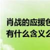 肖战的应援色和口号是什么（他的粉丝小飞侠有什么含义么）