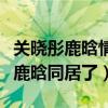 关晓彤鹿晗情侣卫衣是怎么回事（网曝关晓彤鹿晗同居了）