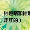 钟楚曦和钟楚红有关系吗（钟楚曦是怎么成功走红的）