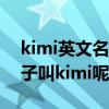 kimi英文名什么意思（为什么林志颖的大儿子叫kimi呢）