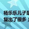 杨乐乐儿子是试管吗（汪涵夫妻两人对小沐沐复出了很多）