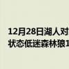 12月28日湖人对森林狼（11月21日NBA常规赛战报：灰熊状态低迷森林狼138:95大获全胜）