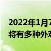 2022年1月7日整理发布：新款奥迪A6L新车将有多种外观样式可选