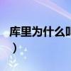 库里为什么叫抡曼巴（为什么说库里是曼巴日）