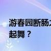 游春园断肠之日描写的是什么植物 曾经迎风起舞？