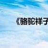 《骆驼祥子》第四篇100字的主要内容