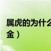 属虎的为什么不能戴金（为什么有些人不能戴金）