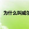 为什么叫威尔金斯 为什么叫威尔金斯大民 