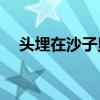 头埋在沙子里的鸵鸟和人比起来算什么？