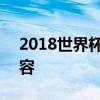 2018世界杯丹麦队阵容 2018世界杯丹麦阵容 