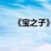 《宝之子》的主要内容和意义是什么？