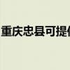 重庆忠县可提供金帝燃气灶维修服务地址在哪