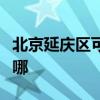 北京延庆区可提供金帝燃气灶维修服务地址在哪