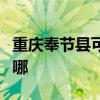 重庆奉节县可提供申花燃气灶维修服务地址在哪