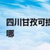 四川甘孜可提供格兰仕热水器维修服务地址在哪