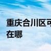 重庆合川区可提供澳柯玛热水器维修服务地址在哪