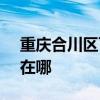 重庆合川区可提供SKG电水壶维修服务地址在哪