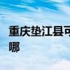 重庆垫江县可提供忠臣电烤箱维修服务地址在哪