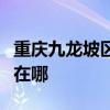 重庆九龙坡区可提供爱德电烤箱维修服务地址在哪