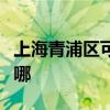 上海青浦区可提供东菱电烤箱维修服务地址在哪