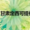 甘肃定西可提供东菱电烤箱维修服务地址在哪