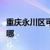 重庆永川区可提供德意电烤箱维修服务地址在哪