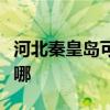 河北秦皇岛可提供德意电烤箱维修服务地址在哪