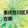 重庆合川区可提供荣事达电烤箱维修服务地址在哪