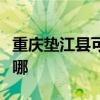 重庆垫江县可提供德意电烤箱维修服务地址在哪