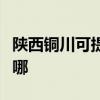 陕西铜川可提供澳柯玛面包机维修服务地址在哪