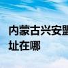 内蒙古兴安盟可提供澳柯玛面包机维修服务地址在哪