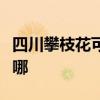 四川攀枝花可提供格力电暖器维修服务地址在哪