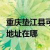 重庆垫江县可提供飞利浦空气净化器维修服务地址在哪