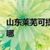 山东莱芜可提供艾美特榨汁机维修服务地址在哪