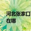 河北张家口可提供SKG榨汁机维修服务地址在哪